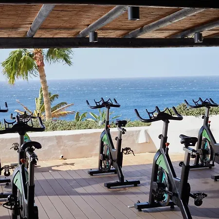 Hyatt Ziva Jardin Tropical Tenerife فندق 4*
