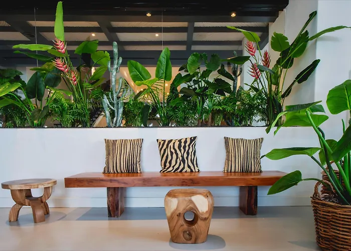 Hotel Dreams Jardin Tropical &