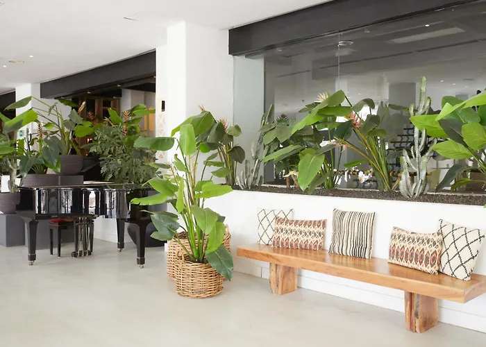 Dreams Jardin Tropical & 아데제